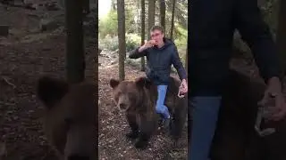 Тост за Россию верхом на медведе