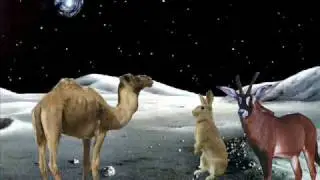 Space Camel