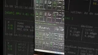 Back To Dual Mining Hypra and Alephium 
