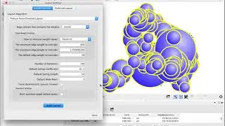 Cytoscape Layout Settings