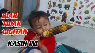 INI SOLUSINYA JIKA ANAK SUKA GIGIT 🤣