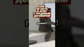 как не сесть в лужу с трудовым договором #закон #бизнес #право #труд