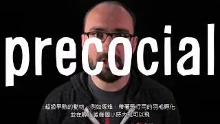 為什麼我們會穿衣服?(中文字幕 翻譯by班尼張)