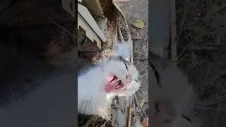 Приехал Николай починил нам газовую колонку🤣
