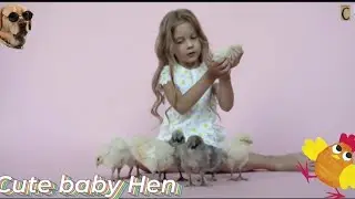 Cutest Baby Hen |Beautiful Hen|Farming Hen/Beautiful Hen Video 2021