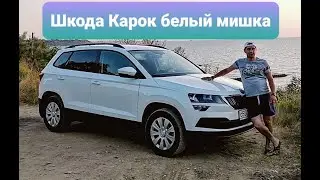Шкода Карок Белый мишка. Скрытые функции