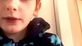 I've made an intro