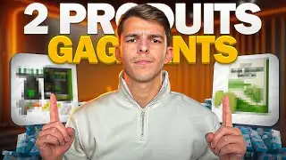 Les 2 Produits GAGNANTS qui m'ont rapporté 70K € (copie-les)