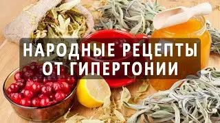 Калина с медом от давления/Как снизить давление без лекарств