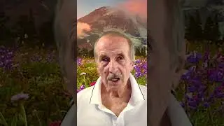 МИХАИЛ ВЕЛЛЕР