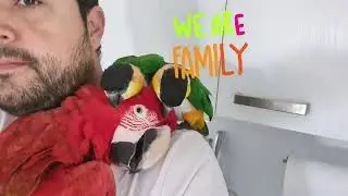 parrot family