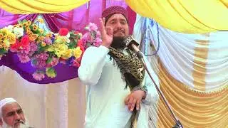 Qari Abdul Razaq