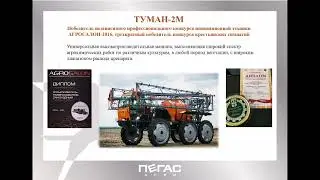 Синицына Анна Валерьевна, Коммерческий директор ООО «Пегас-Агро»