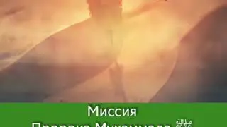Миссия Пророка Мухаммада ﷺ
в Таиф.