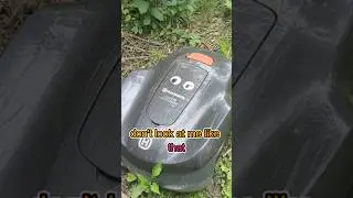 My Automowers Got Stuck and This Happened... #funny #automower #gardeninghumor