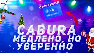 Cabura, медленно но уверенно!!!