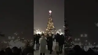 Новогодняя Казань - набережная, елка