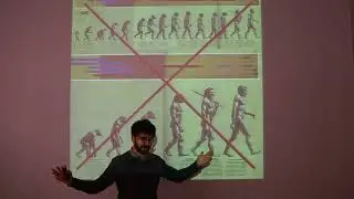 Evrim 101: Evrim Genel Olarak Nedir? ve Ne değildir?