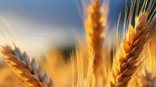 2025 УКРАИНА  НЕОЖИДАННЫЙ ПОВОРОТ