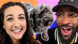 Will These Dogs Do What We Want? | The Loop Show