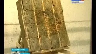 Турнир Антиреррор   2015   новостной выпуск