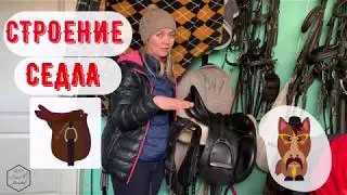 СТРОЕНИЕ СЕДЛА