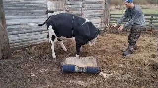 Обхват груди по ленте