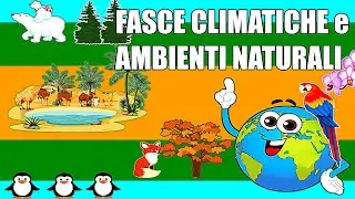 🌞🌵🧊🐧 CLIMATE ZONES and NATURAL ENVIRONMENTS (Biomes) - Geography Primary and Secondary School I° 🌍📚
