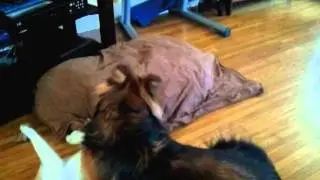 Chloe is fearless. Lucas is patient.