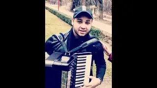 Andreeas Stanga , Paul Stanga si Marikanu HORA LIVE 2017 NUNTA
