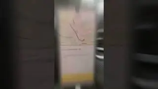 В Шереметьево поехал| в обратную из Лобни) #яндекс #москва #такси