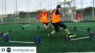 Total Chaos