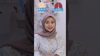 Belajar vocabulary organ tubuh