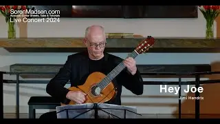 Hey Joe by Billy Roberts - Danish Guitar Performance - Soren Madsen