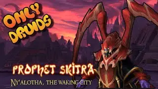 ALL DRUIDS vs Prophet Skitra!