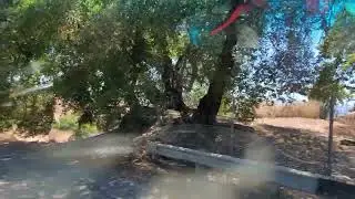 Năng nóng 34 độ C. San Jose.Cali 16.7.2022