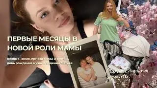 Весна в Японии, сакура, день рождения мужа и сына, мама и сестра в Токио // дзен-влог