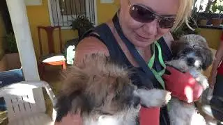 A hidden village inside of Sosua! DCDR outreach with extra-fluff