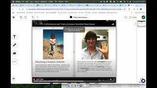 Safari/YouTube video playback error