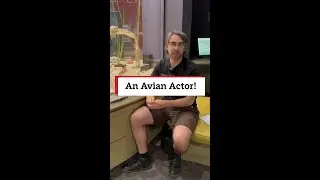 Did you know about this avian actor?