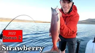Chasing Big Red - 2022 Bonus 2