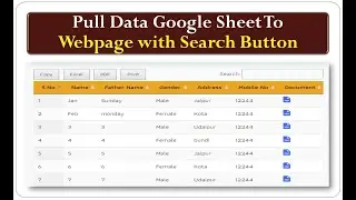How to Google Sheet data pull to Website by web app script
