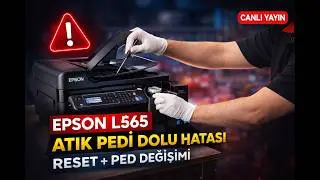 EPSON L565 Atık Mürekkep Pedi Dolu Hatası Çözümü | Reset + Ped Değişimi (Canlı Yayın)