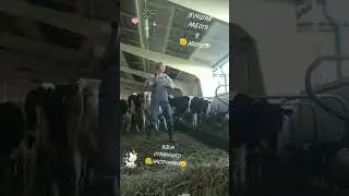 27 августа 2024 г.