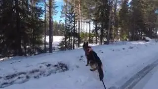 Vinter i norra Värmland
