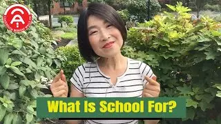 What is school for?