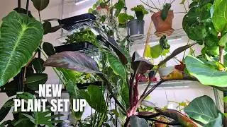 Making Big Improvements to the Plant Set Up