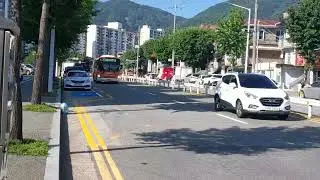 골드번호