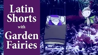 Latin Shorts: Post Meridiem (PM)