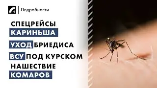 Спецрейсы Кариньша, уход Бриедиса, нашествие комаров, ВСУ под Курском | 